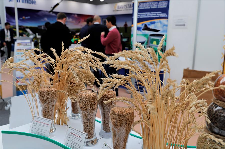 В Казахстане открылись две международные сельскохозяйственные выставки