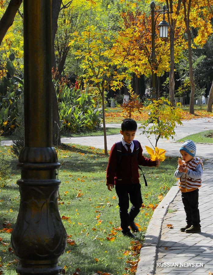 Осенний Ташкент