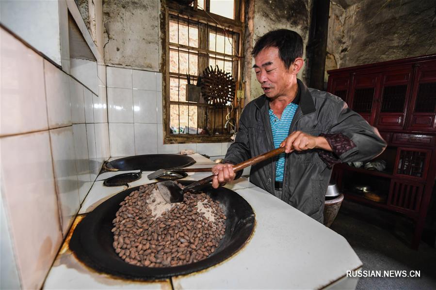 "Денежное дерево" приносит доход фермерам в горных деревнях провинции Чжэцзян 