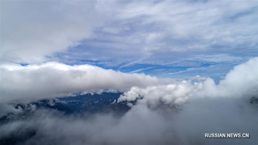 Дивное облачное море в ландшафтном парке Шэньнунцзя