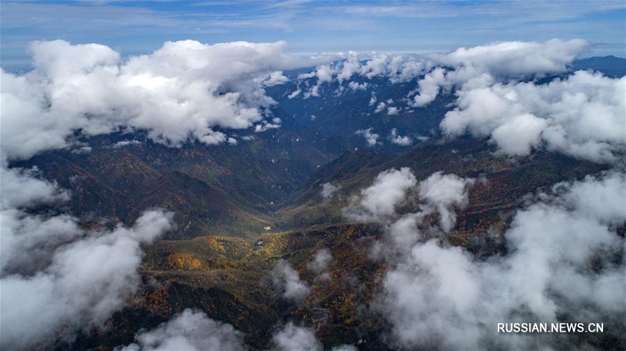 Дивное облачное море в ландшафтном парке Шэньнунцзя