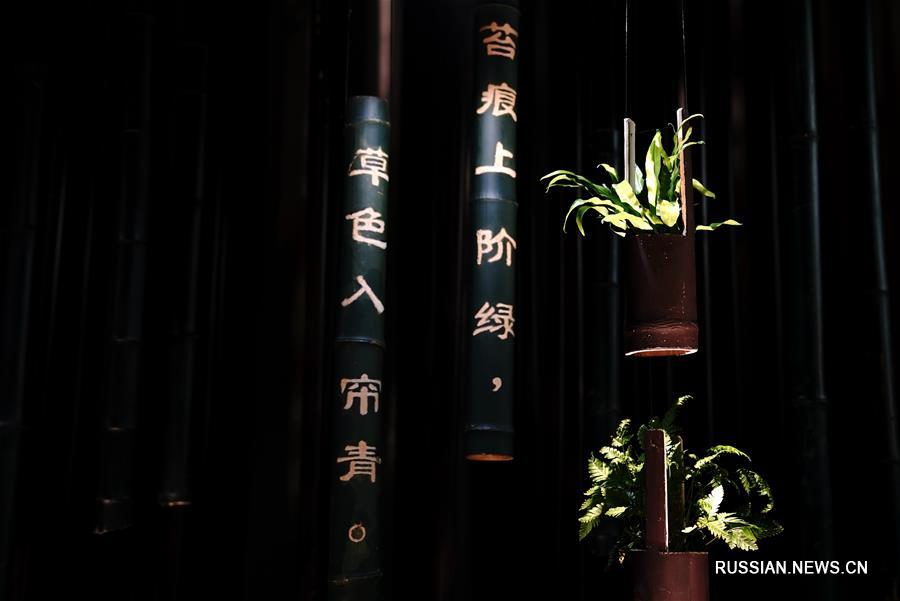 В Шанхае прошла 3-я Выставка тенелюбивых растений