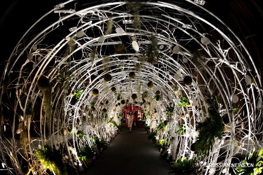 В Шанхае прошла 3-я Выставка тенелюбивых растений