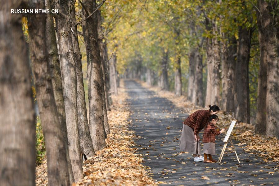 Золотая осень в волости Саньшиган на востоке Китая