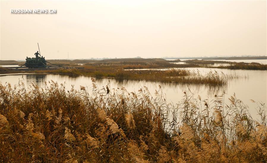 Желтые осенние пейзажи реки Хуанхэ в уезде Тогто