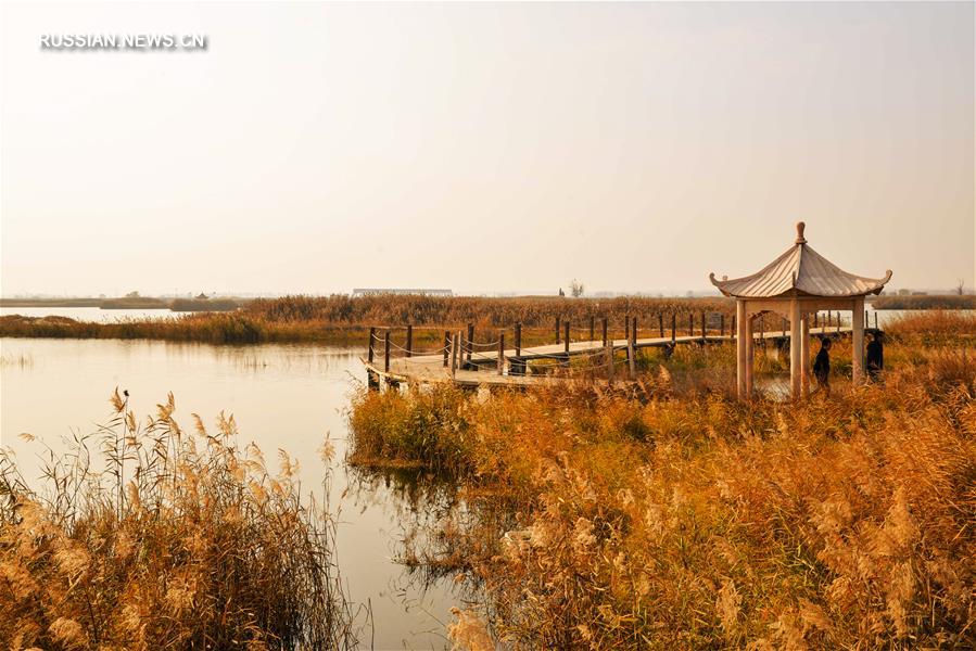 Желтые осенние пейзажи реки Хуанхэ в уезде Тогто