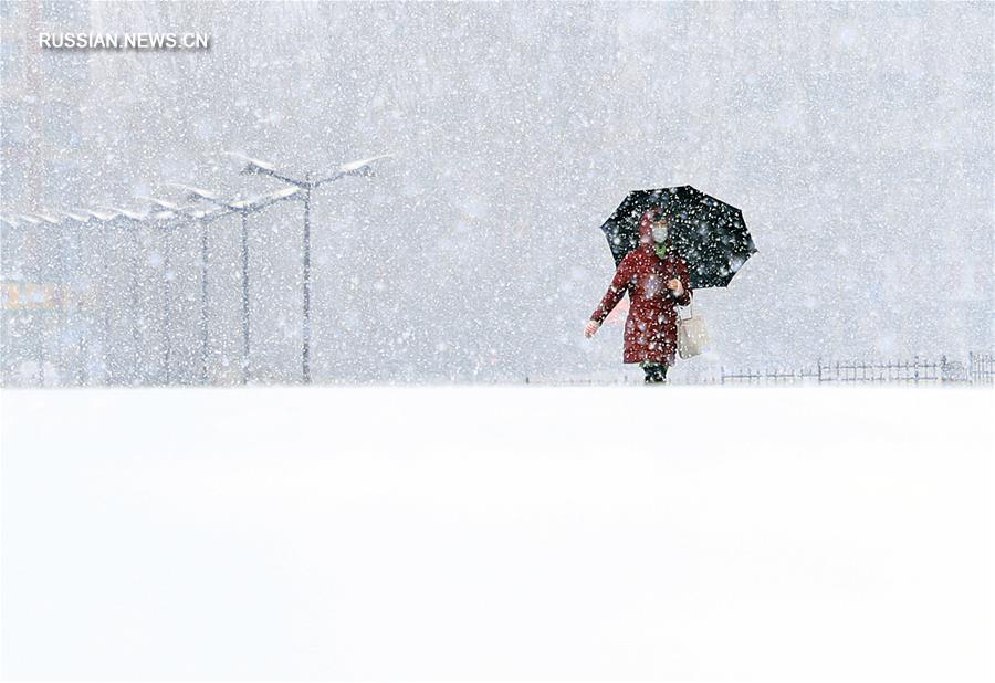 Снегопад в Чанчуне