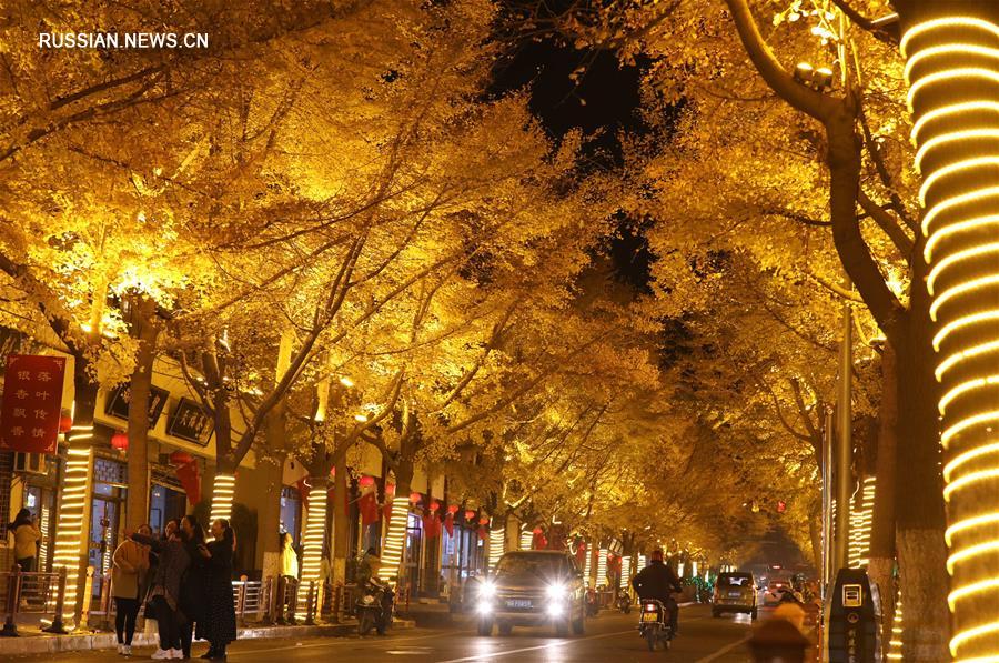 "Золотая улица" в городе Тяньшуй