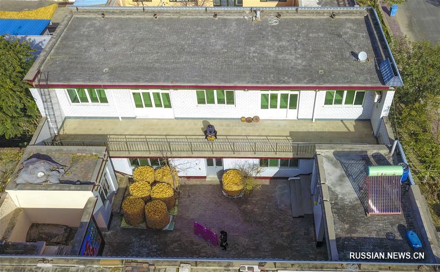Новое красивое жилье для селян из уезда Жаоян