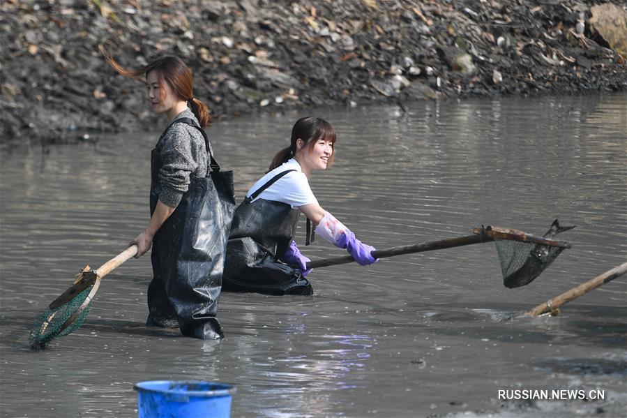 Туристы ловят рыбу в "сухом пруду" парка Сиси