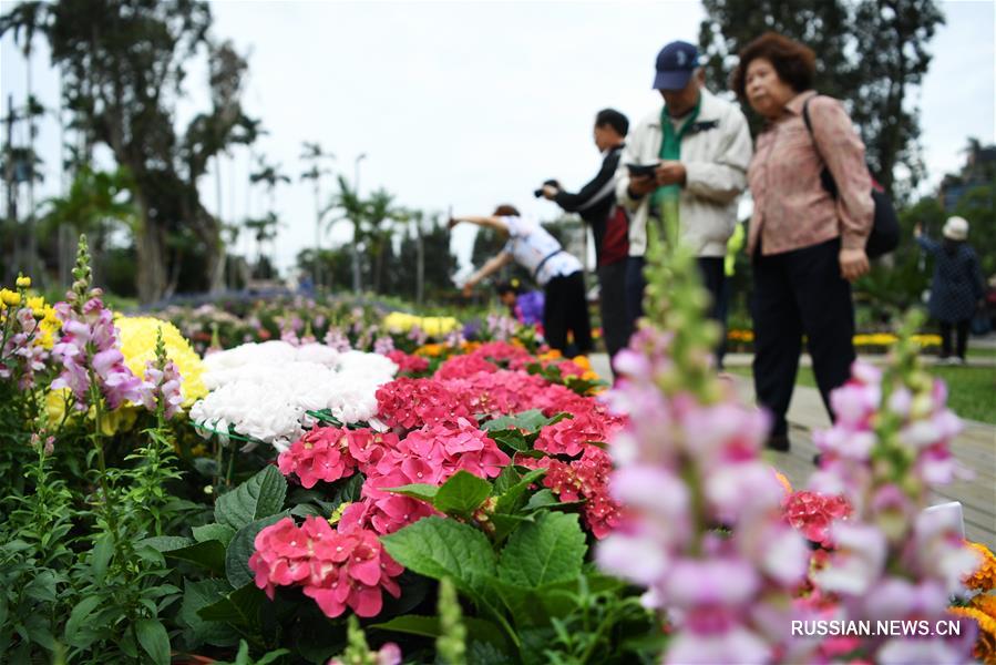 В Тайбэе открылась ежегодная выставка хризантем