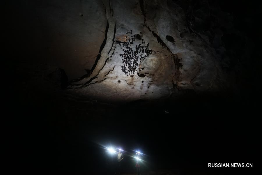 На юге Китая нашли гигантские карстовые провалы