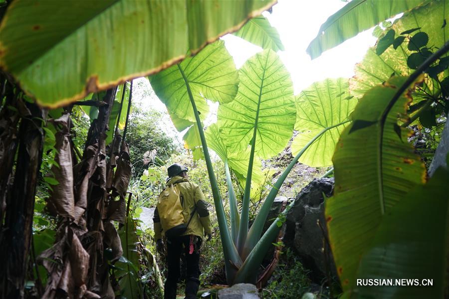 На юге Китая нашли гигантские карстовые провалы