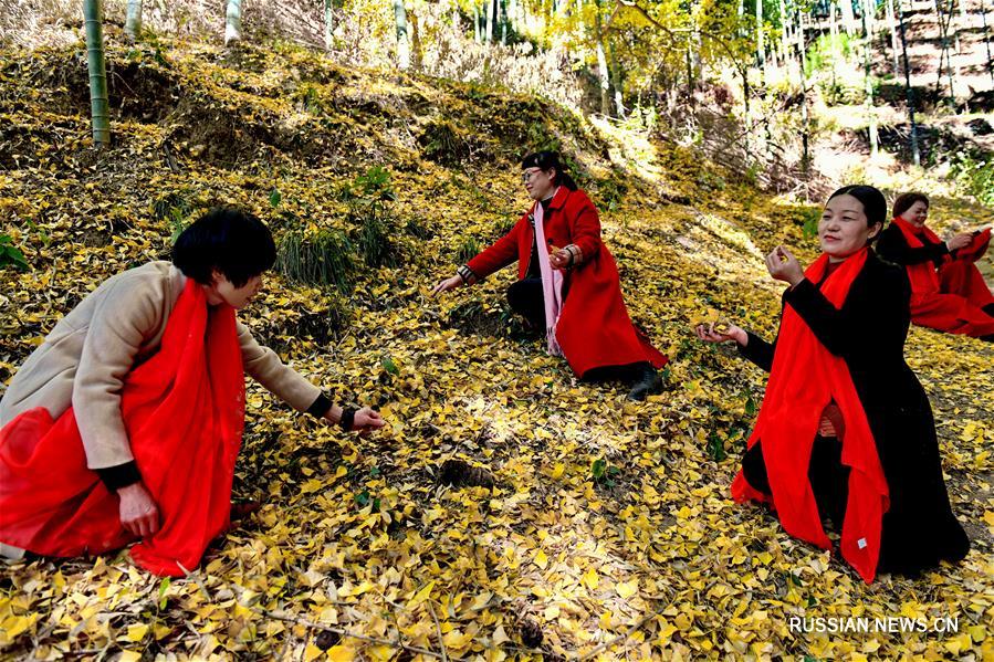 Провинция Фуцзянь в золоте зимней листвы 
