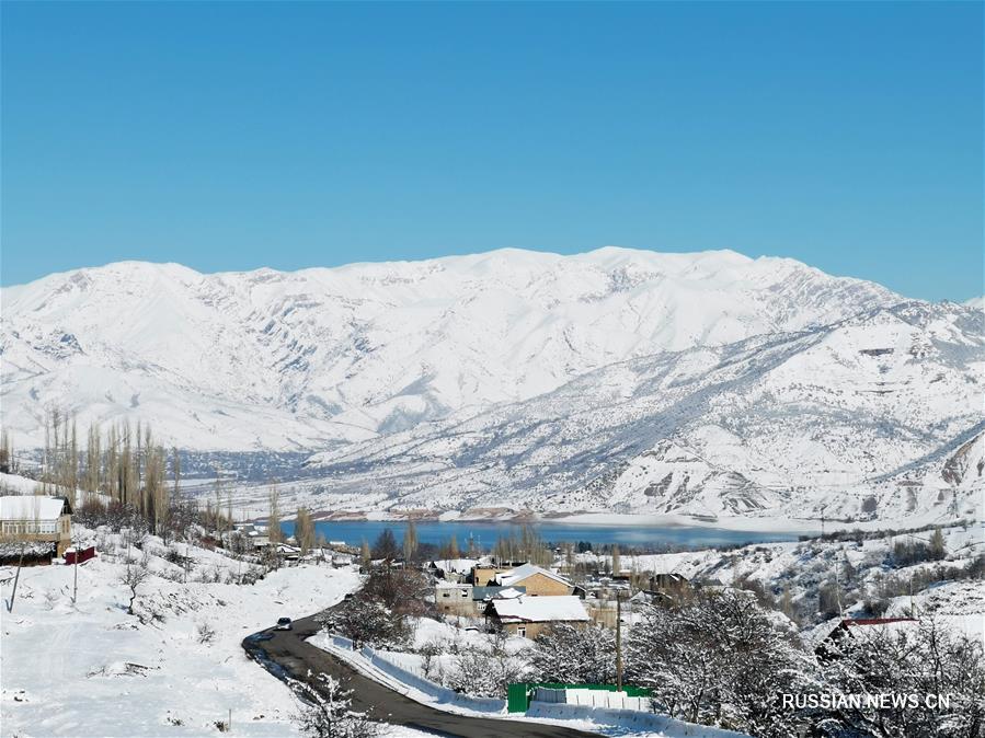 Зимний день в горах под Ташкентом