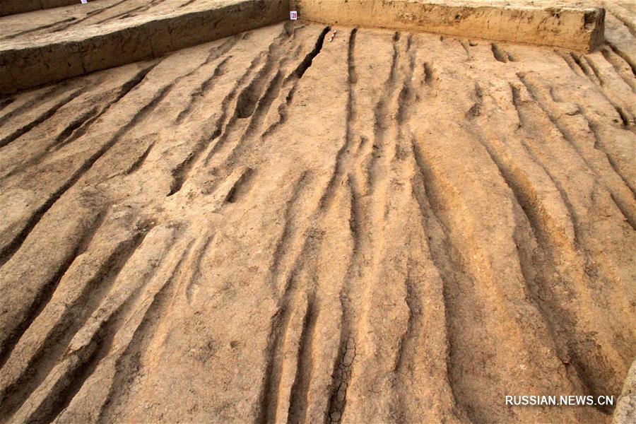 В провинции Шэньси обнаружены следы древней дороги эпохи Западной Хань