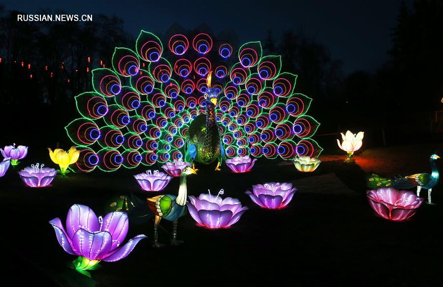 В Киеве открылась выставка китайских фонарей