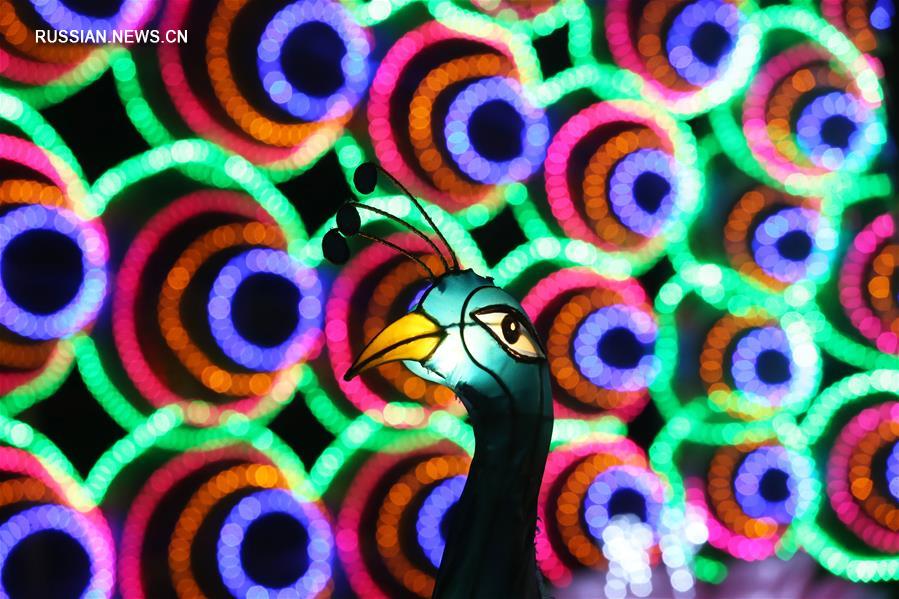 В Киеве открылась выставка китайских фонарей