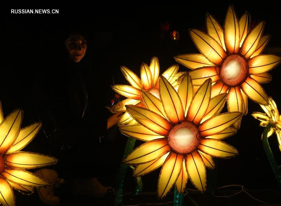 В Киеве открылась выставка китайских фонарей