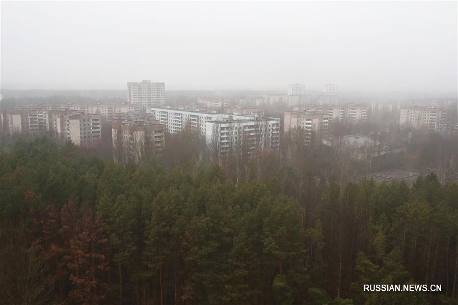 В Припяти установили новогоднюю елку