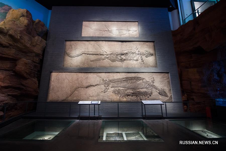 Близится к завершению строительство Музея природы Палеонтологического заповедника Чэнцзян