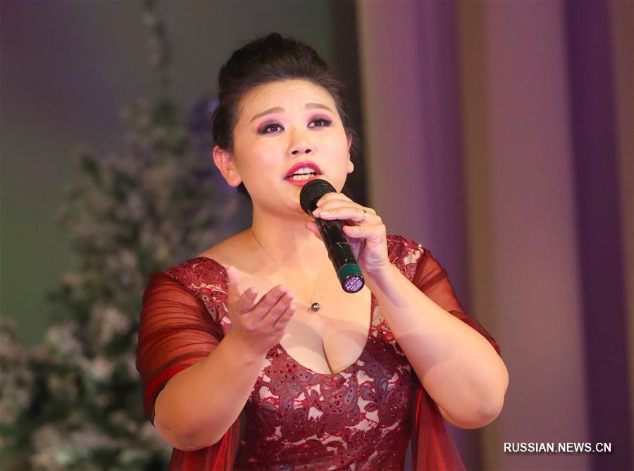 В Минске прошел нововогодний концерт китайских учащихся в Беларуси 