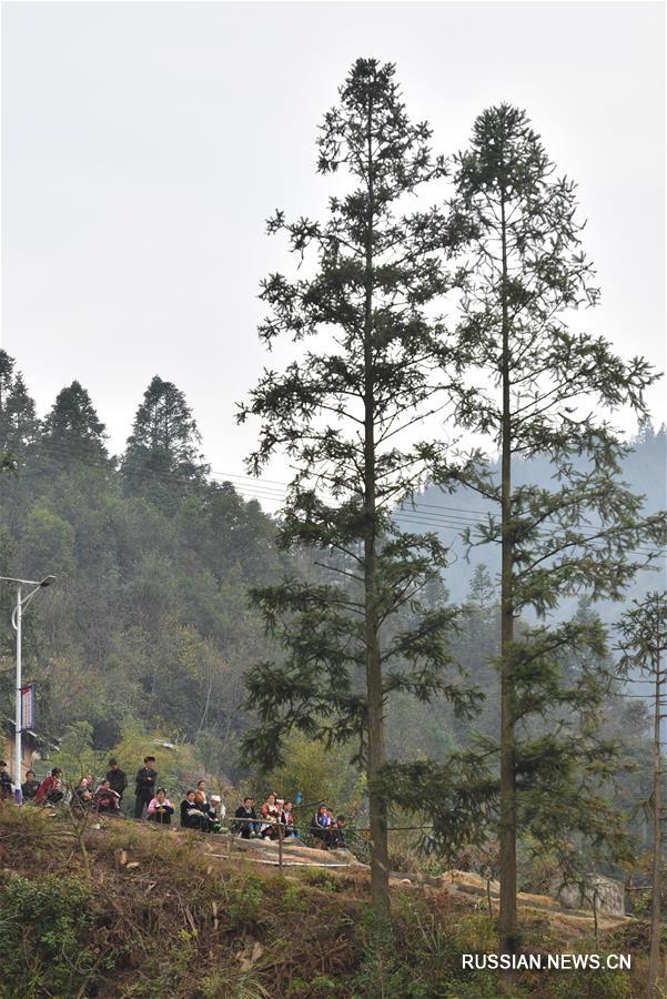 Празднование Нового года народности мяо в бедной горной деревеньке на границе Гуйчжоу и Гуанси