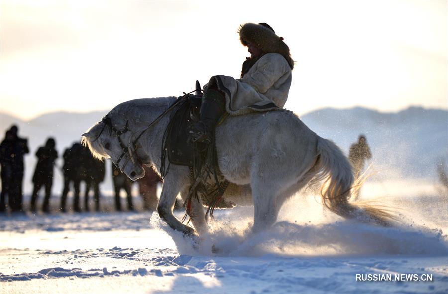Фестиваль степной фотографии открылся в АР Внутренняя Монголия