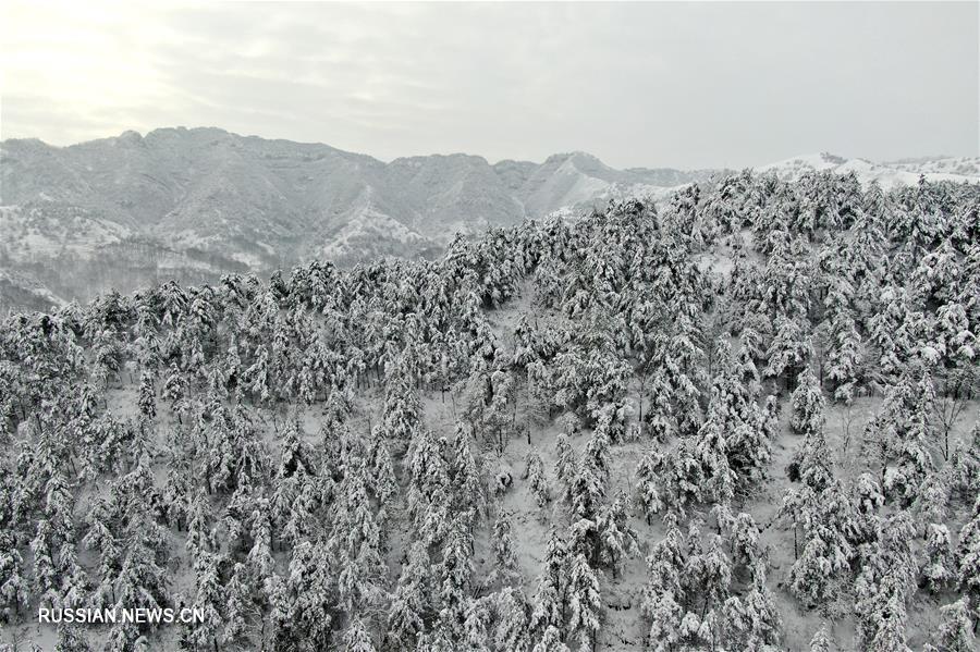 Живописные горы в Саньмэнься после снегопада
