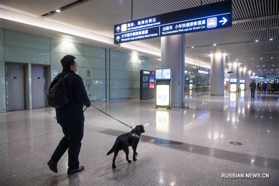 Служебные собаки обеспечивают безопасность в дни "Чуньюнь-2020"