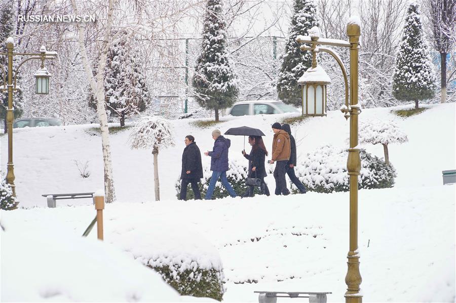 Снегопад в Ташкенте