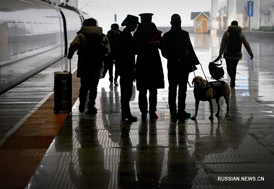 Китай: слабовидящие пассажиры могут ездить на высокоскоростных поездах с собаками-поводырями 