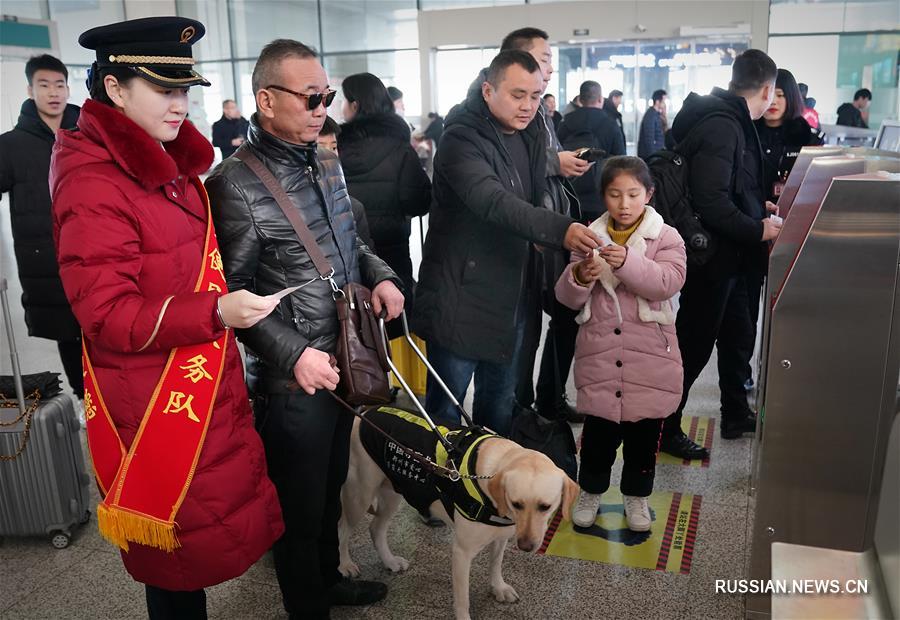 Китай: слабовидящие пассажиры могут ездить на высокоскоростных поездах с собаками-поводырями 