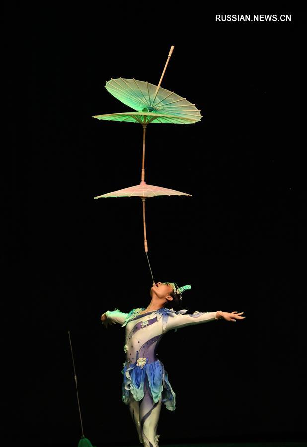 Китайские артисты выступили в Стамбуле с представлением в честь праздника Весны