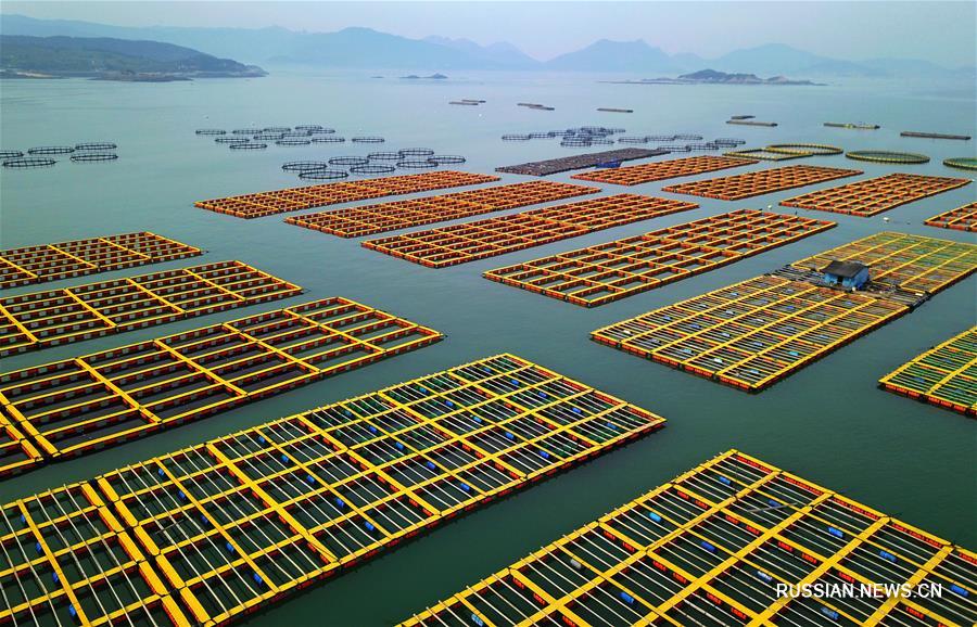 CHINA-ECONOMY-GDP-2019 (CN)