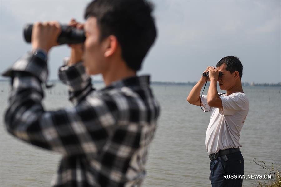 В пров. Хайнань проводится исследование ситуации с водоплавающими птицами 2020 года