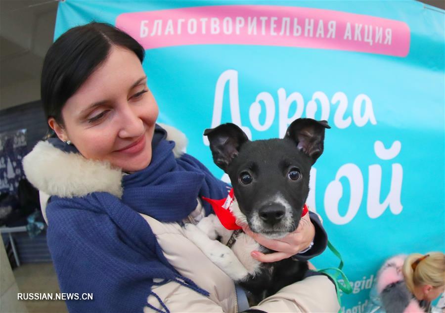 В Минске прошла 50-я благотворительная акция "Дорога домой"
