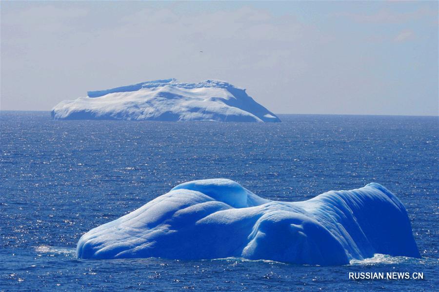 Айсберги и киты в море Уэдделла