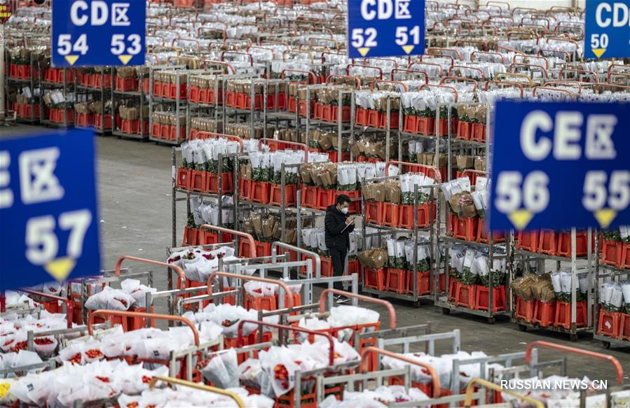 Борьба со вспышкой коронавирусной инфекции -- Цветочный рынок "Доунань" в Куньмине возобновил торги