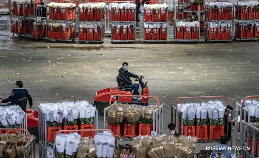 Борьба со вспышкой коронавирусной инфекции -- Цветочный рынок "Доунань" в Куньмине возобновил торги