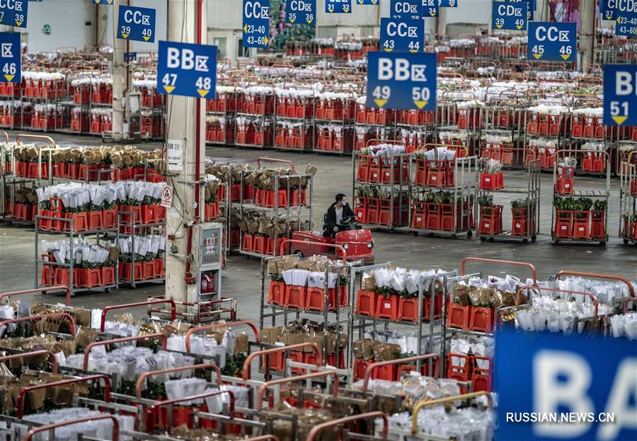Борьба со вспышкой коронавирусной инфекции -- Цветочный рынок "Доунань" в Куньмине возобновил торги