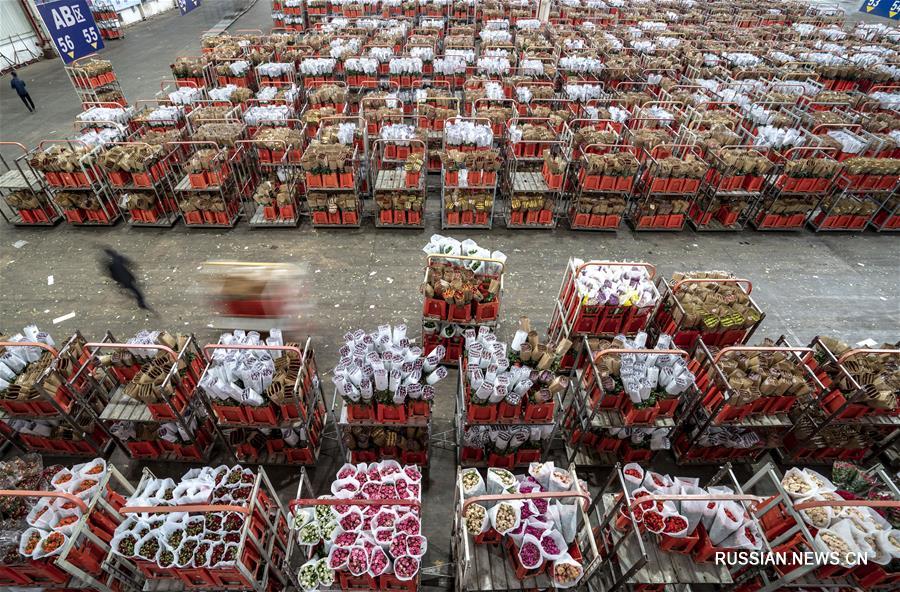 Борьба со вспышкой коронавирусной инфекции -- Цветочный рынок "Доунань" в Куньмине возобновил торги