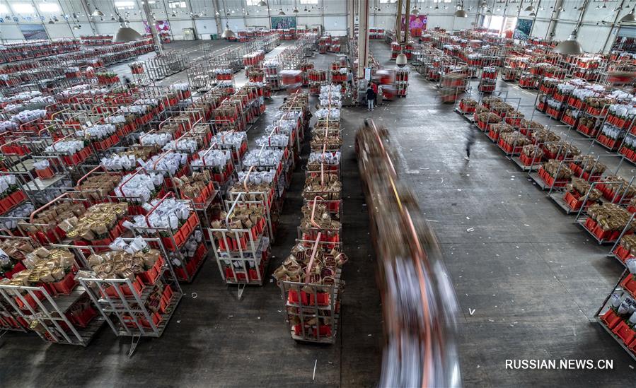 Борьба со вспышкой коронавирусной инфекции -- Цветочный рынок "Доунань" в Куньмине возобновил торги