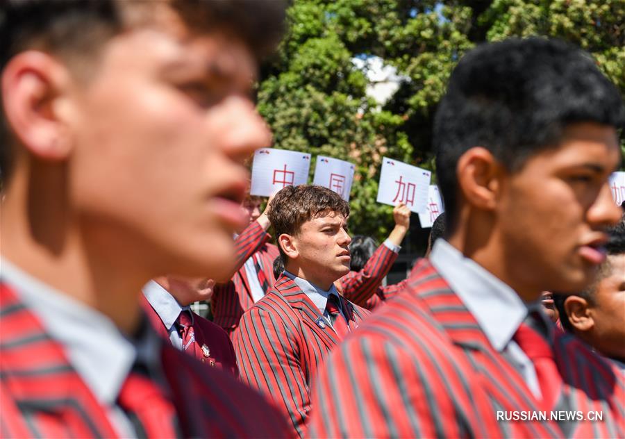 Новозеландские школьники исполнили боевой танец хака, чтобы поддержать Китай в битве с эпидемией