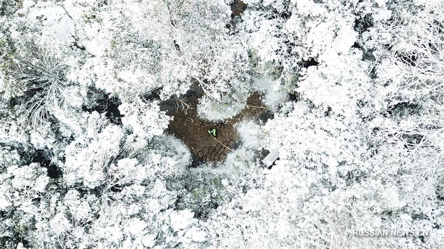 Заснеженные пейзажи хэфэйского парка Хуаньчэн