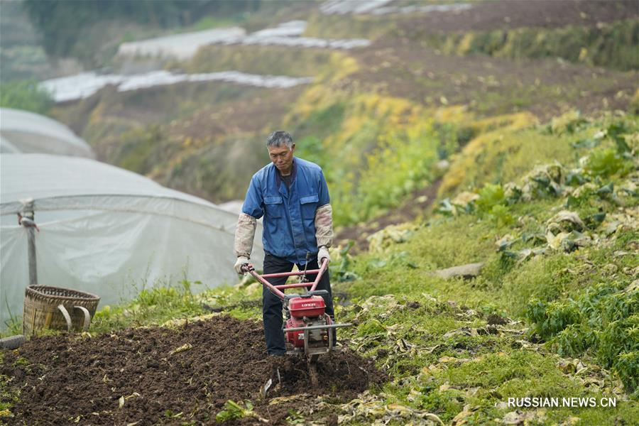Борьба со вспышкой коронавирусной инфекции -- Отдельные районы и уезды Чунцина постепенно возвращаются к нормальному ритму жизни