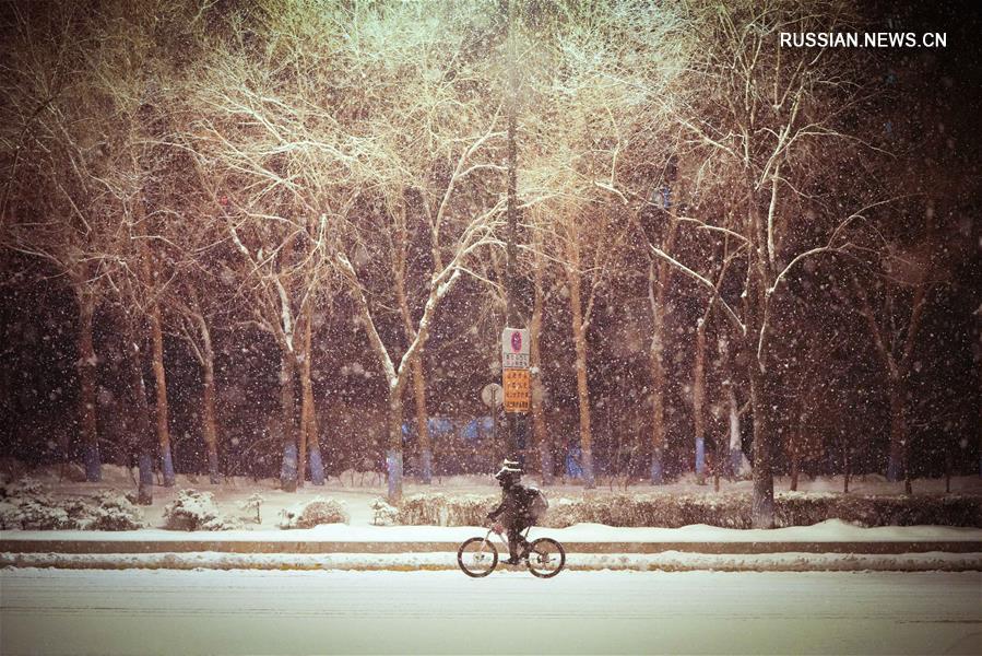 Снегопад в Харбине