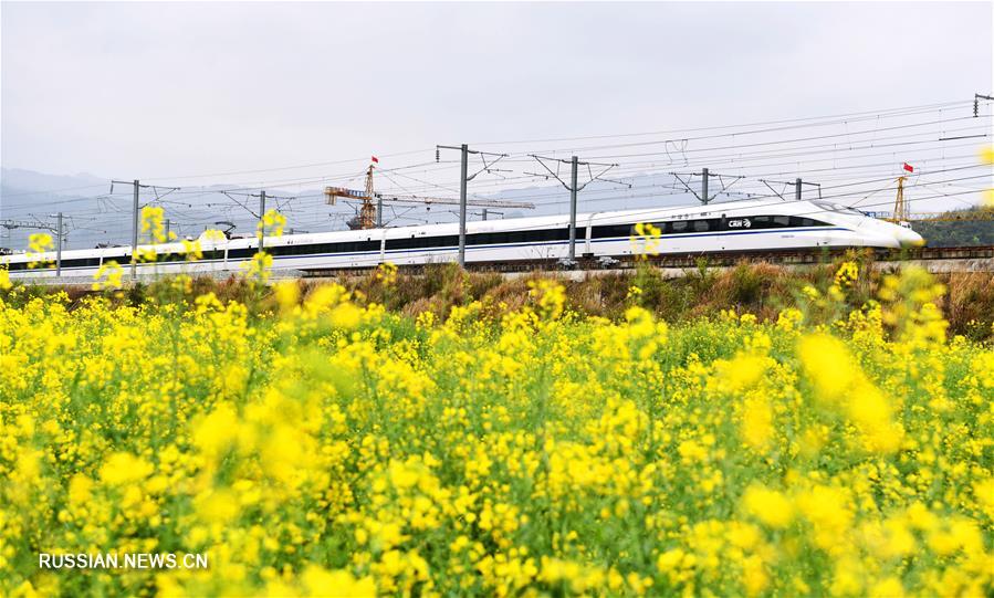Поезд весны в провинции Гуйчжоу
