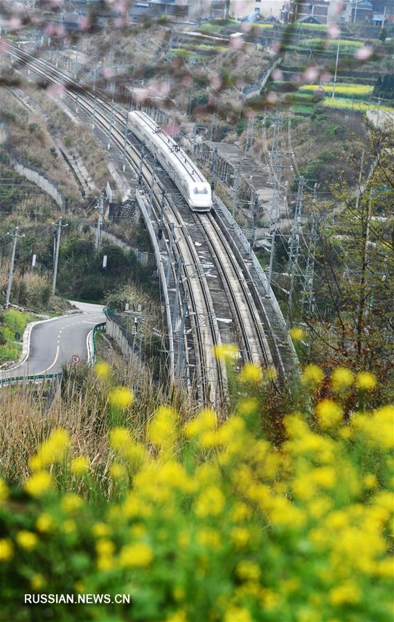 Поезд весны в провинции Гуйчжоу