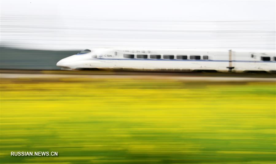 Поезд весны в провинции Гуйчжоу